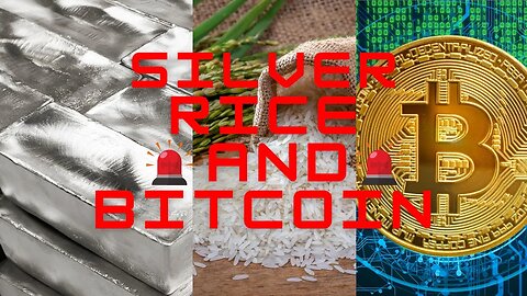 Silver Rice Bitcoin MARCH 2023 update