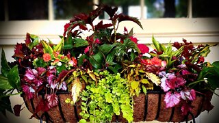 Create your own flower box for both sun and shade