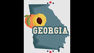 Georgia Update (Election workers in second Ga. County with allegations of election irregularities)