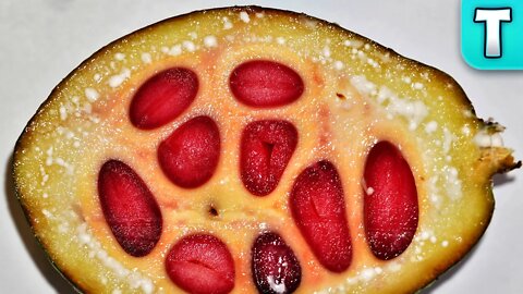 Extremely Rare Heaven Fruit | Fruits You've Never Heard of