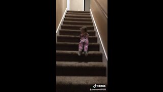 Fearless little girl slides down the stairs