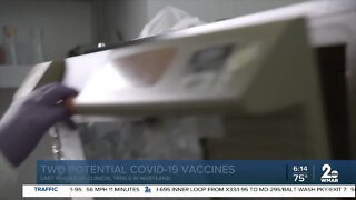 Two potential COVID-19 vaccines