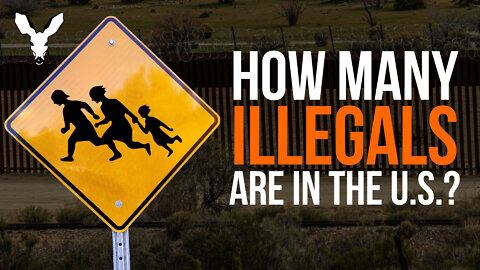 How Many Illegals Are in the United States? | VDARE Video Bulletin