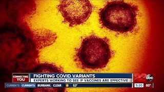 Fighting COVID variants, experts working to see if vaccines are effective