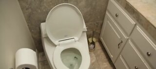 Put the seat down before you flush