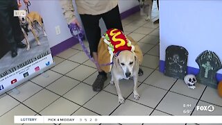 Halloween costume contest with Pets of the Week at GCHS
