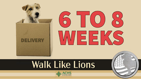 "6 to 8 Weeks" Walk Like Lions Christian Daily Devotion with Chappy January 11, 2022