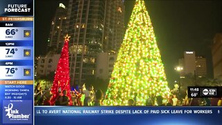 Tree lighting in Tampa