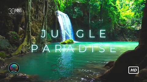 Jungle Paradise: Majestic Turquoise Waterfall and Ambient Music #relax #meditate #escape #zen