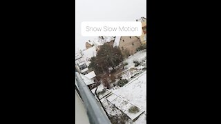 Snow Slow Motion Hd