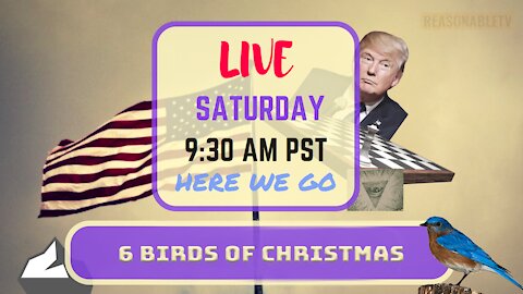 Saturday *LIVE* 6 Birds of Christmas Edition