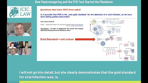Dr. Reiner Fuellmich - How Panicmongering and the PCR Test started the Plandemic