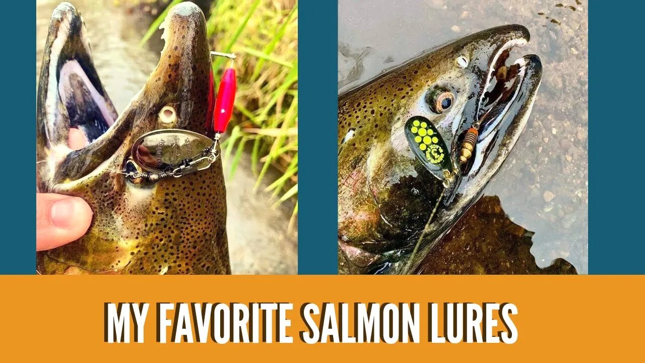 My Favorite Salmon Lures / Best Lures For Salmon River Fishing / How To ...