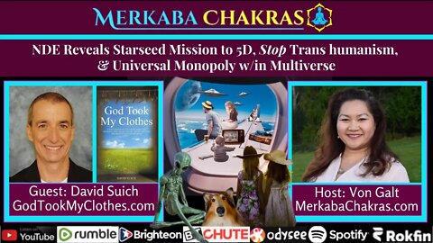 NDE Starseed Mission to 5D, STOP Transhumanism & Universal Monopoly in Multiverse w/David Suich #84