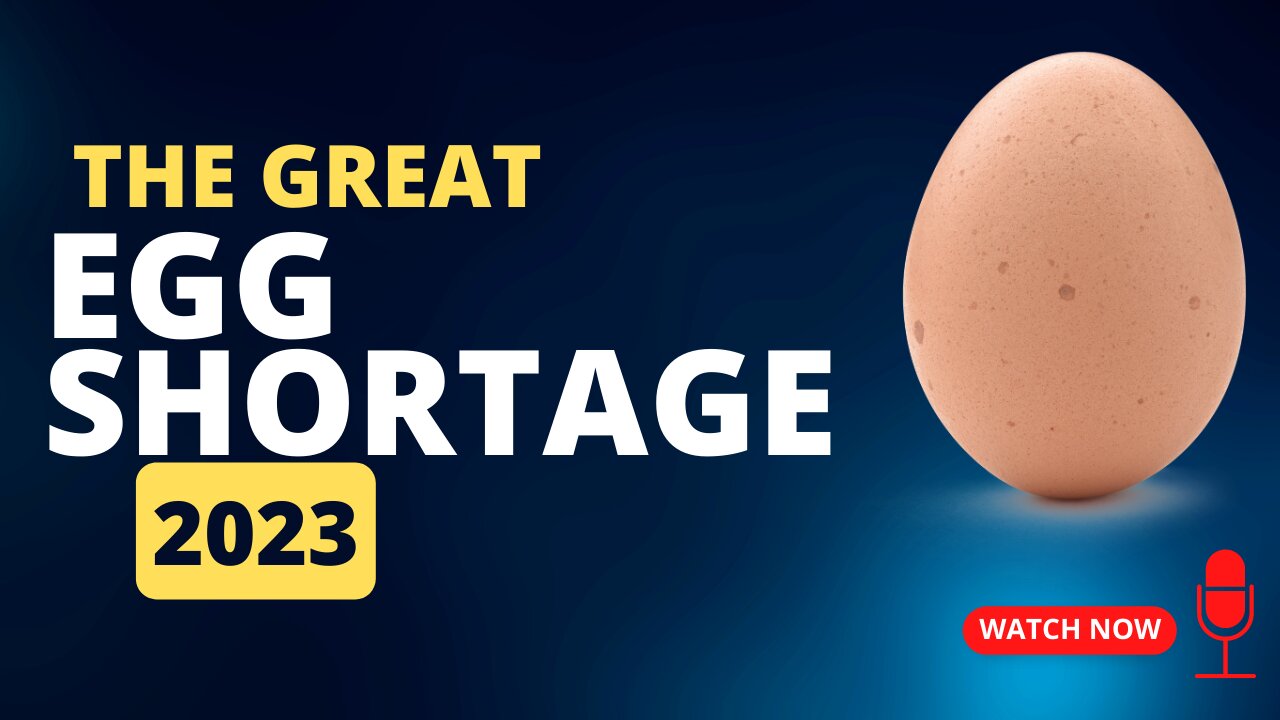 THE GREAT EGG SHORTAGE 2023