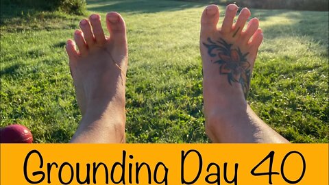 Grounding Day 40 - morning meditation