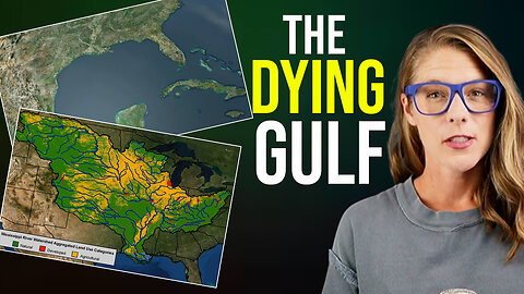 What & Who are killing the Gulf of Mexico? || Jack E. Davis