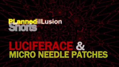 PLANNEDILLUSION SHORTS - LUCIFERACE & MICRO NEEDLE PATCHES - 04112021