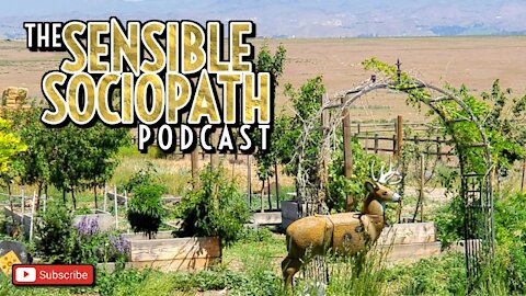 Ep 102: Terrible Animals, DoorDash Bored Confessional, Gooch Punch