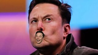 Elon Musk Buying Twitter?!?! What The...