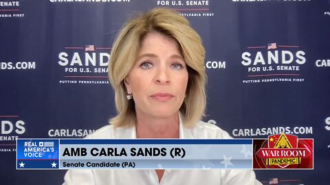 Carla Sands, Sen. Cand. in PA: We have to stop these radicals