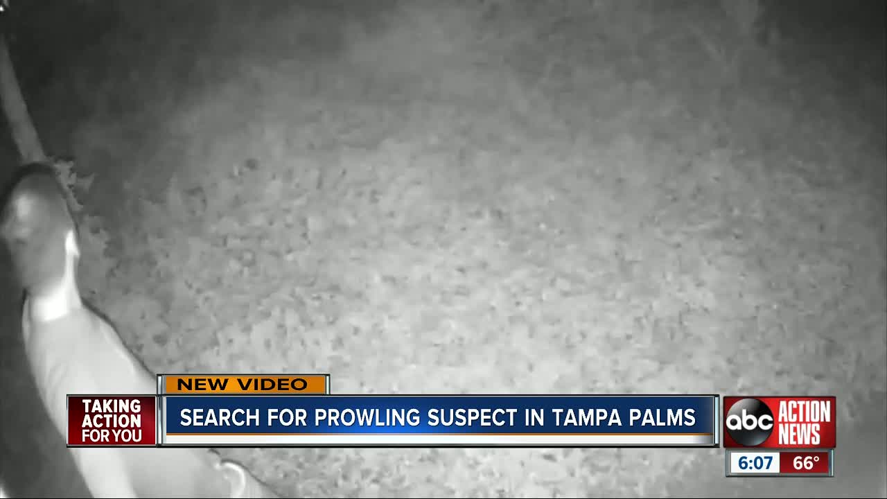 Prowler caught on camera wanted by Tampa Police