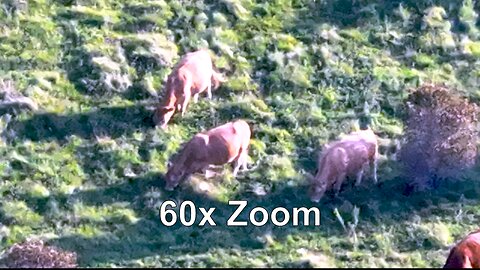 Zoom ability of hobby drones is shocking and disturbing