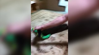 Dog Refuses to Let go of Toy