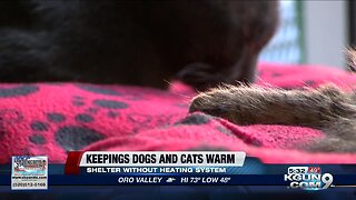 Marana animal shelter reaches out to community for help to keep animals warm