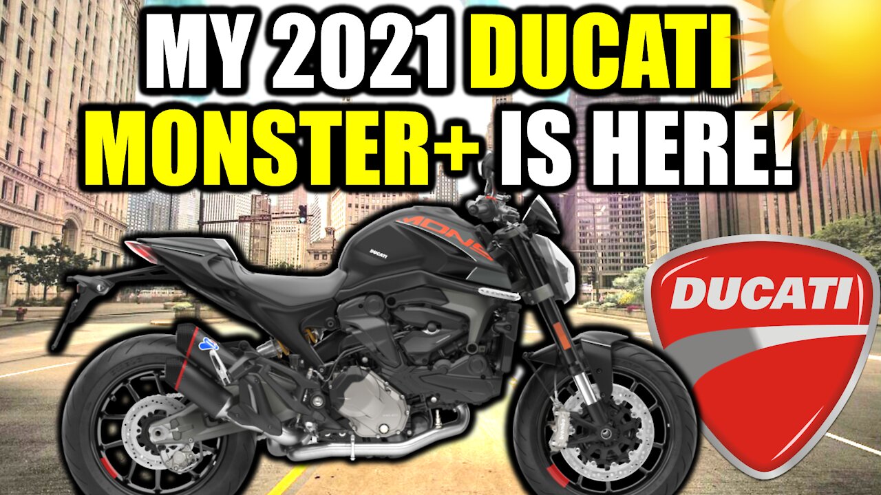 Termignoni ducati store monster 2021