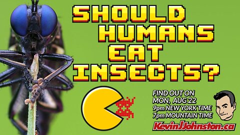 SHOULD HUMANS EAT INSECTS Instead of Meat?