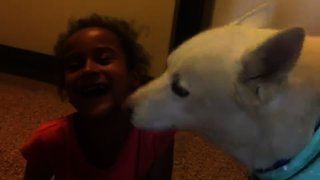 LIttle girl giggles from onslaught of doggy kisses