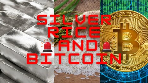 Silver Rice Bitcoin update / Weekly Forex Forecast /Trading xagusd