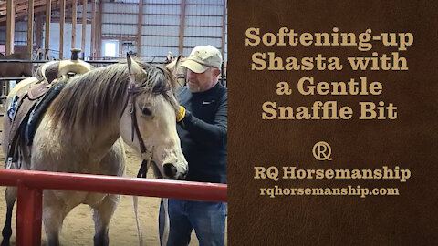 Softening-up Shasta with a Gentle Snaffle Bit