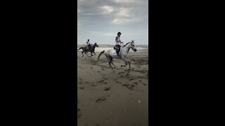 Galloping horse (horse race)