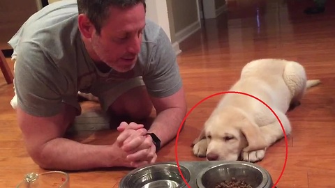 Puppy Has The Cutest Ritual Before Eating Dinner
