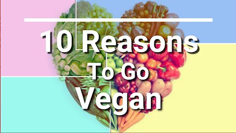 10 Reasons To Go Vegan