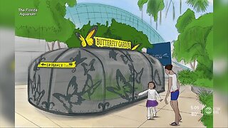 Florida Aquarium celebrates 25 years by announcing new projects