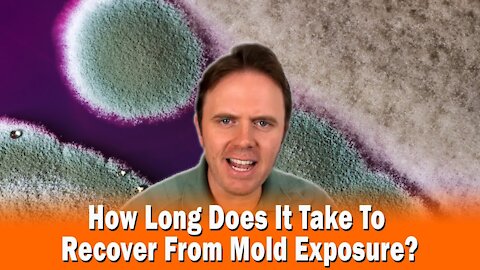 How Long Does It Take To Recover From Mold Exposure?