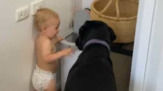 Baby secretly feeds dog