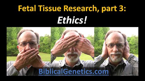 Fetal Tissue Research, part 3: Ethics