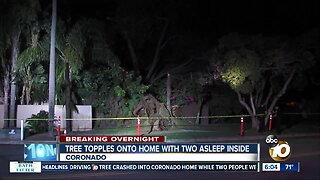 Tree falls onto Coronado home