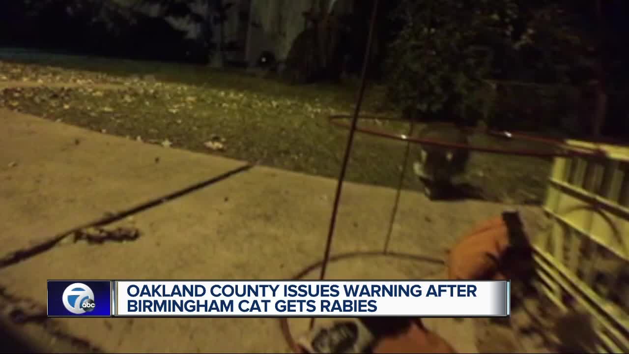 Health Department issues warning after Oakland County cat gets rabies