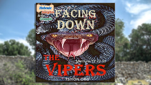 Facing Down the Vipers - Matthew 12:22-50 - HIG Ep11