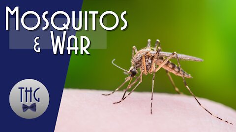 War and Mosquitos
