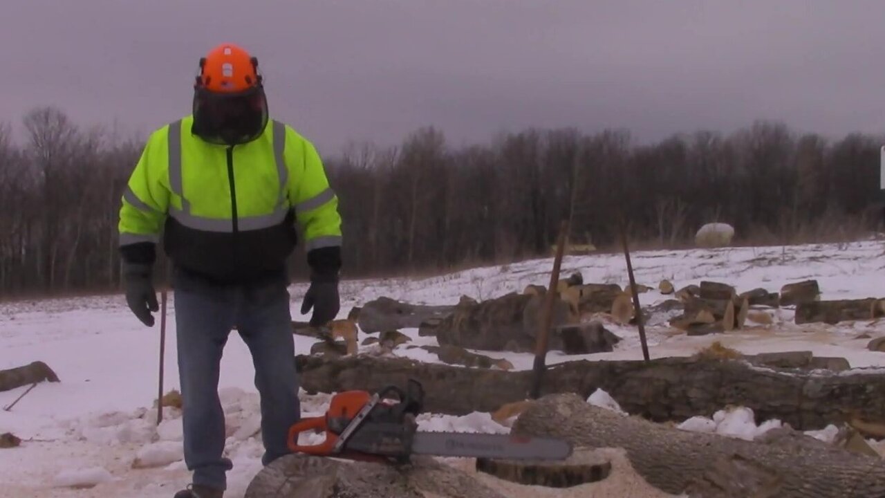 Husqvarna 585 Chainsaw Review, From A Farmer & Firewood Perspective