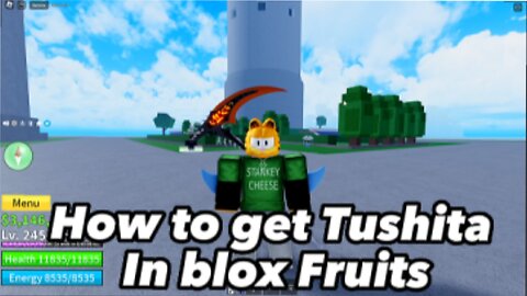 i got tushita : r/bloxfruits