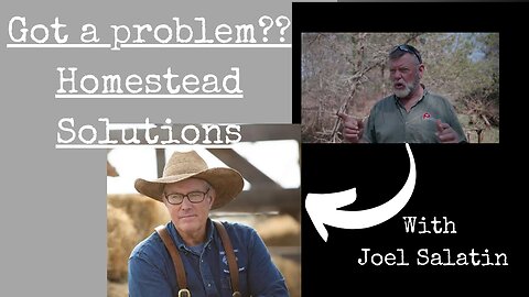 Homestead Solutions: a convo with Joel Salatin