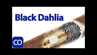 S.T.K. Black Dahlia Corona Extra Cigar Review