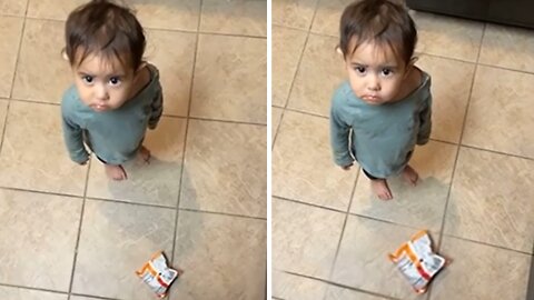 Little Girl Wants Chips, Adorably Rebels When Told No